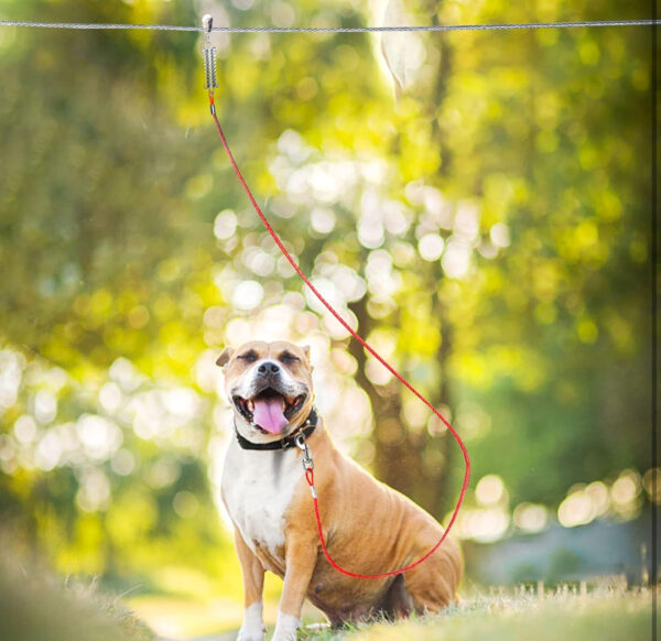 dog tie out runner for yard,trolley system for large dogs,heavy duty dog run cable 100ft with 10ft pulley runner line for dogs up to 125lbs,yard or camping